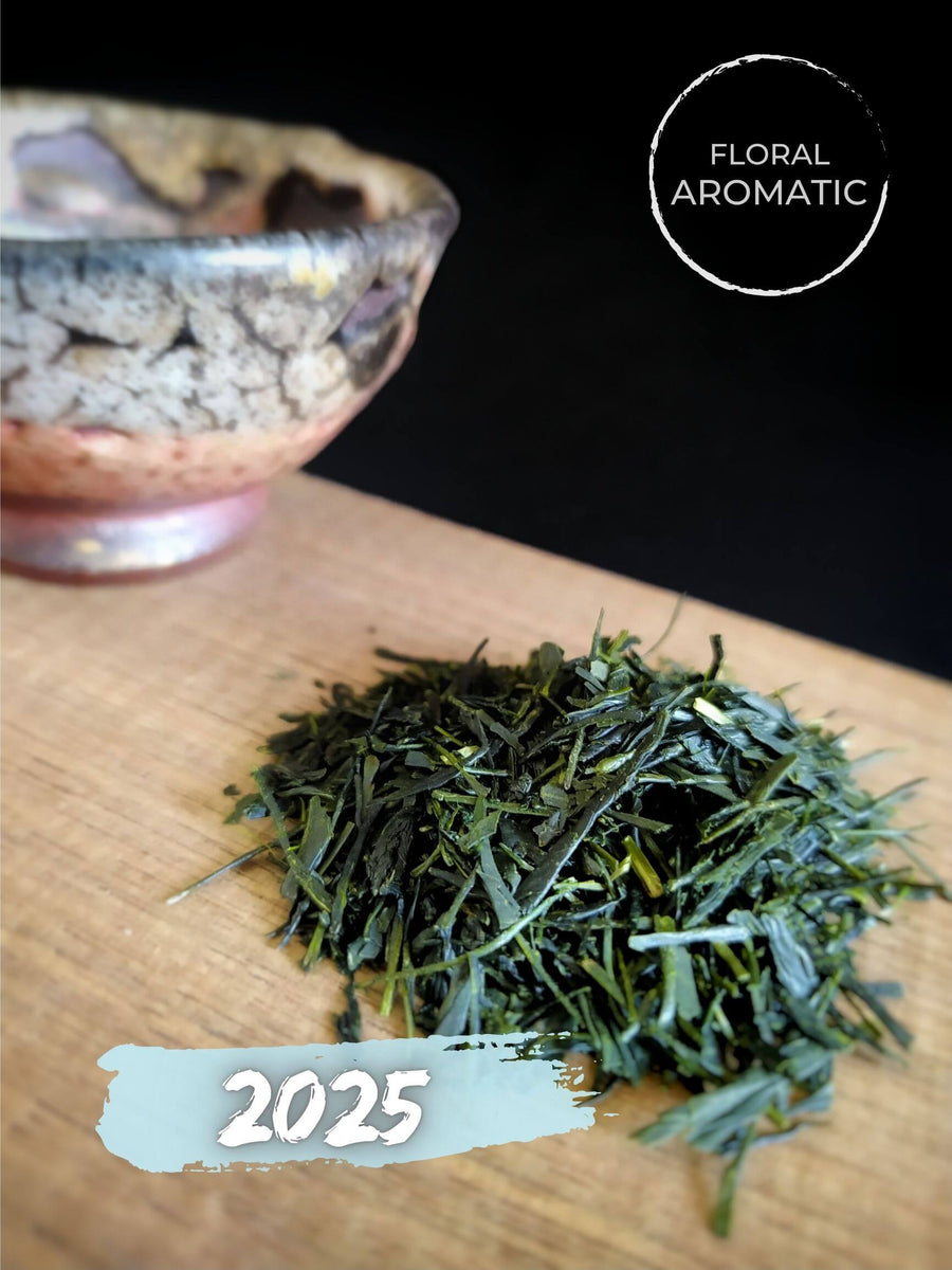 Sencha Dawn - sencha futsumushi from Sakawa, Sofu cultivar. – San Sencha Dawn - sencha futsumushi from Sakawa, Sofu cultivar. – San