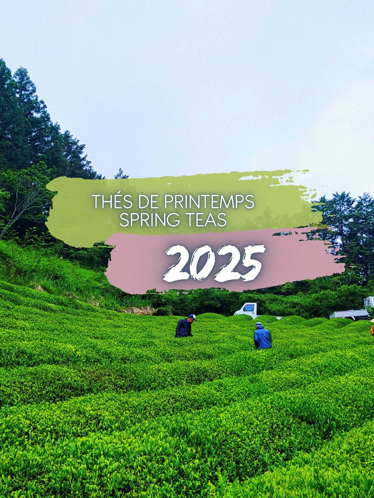 the complete collection of 2025 spring teas