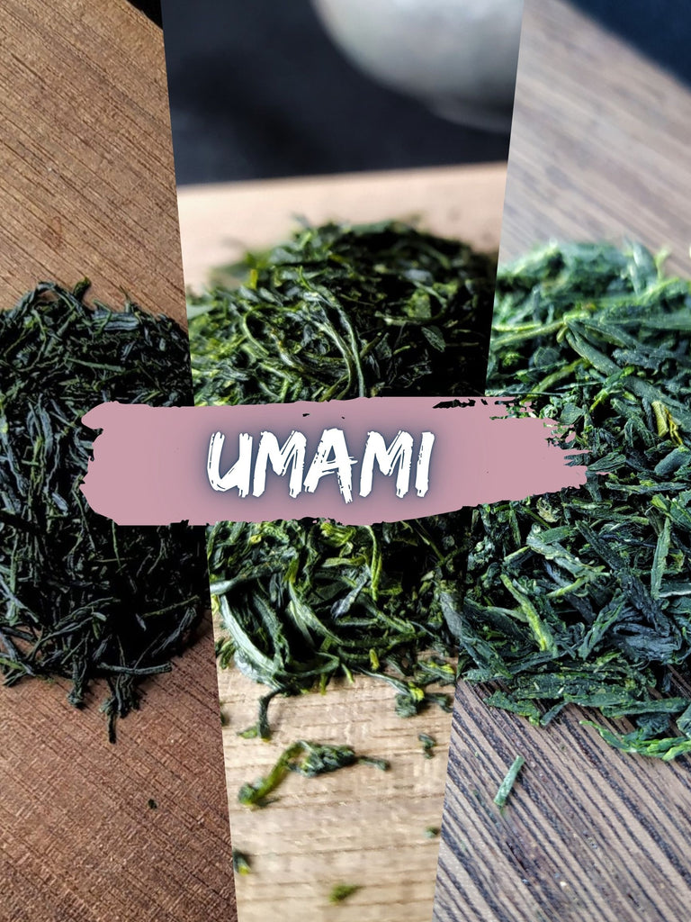 umami teas set of 3