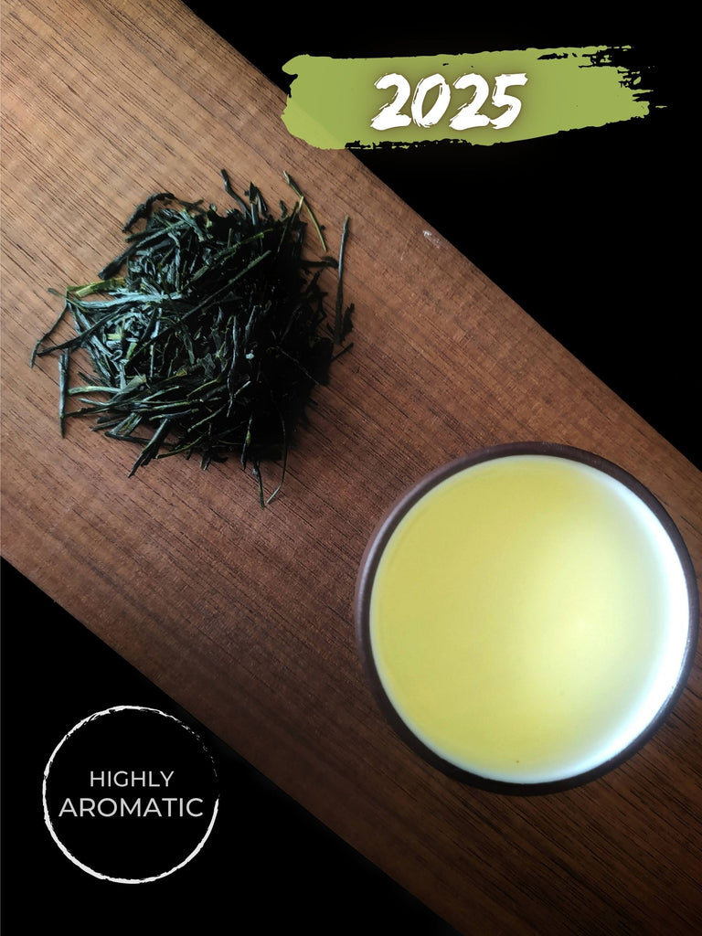 sencha drums from Kawane, Shizuoka, sayamakaori cultivar