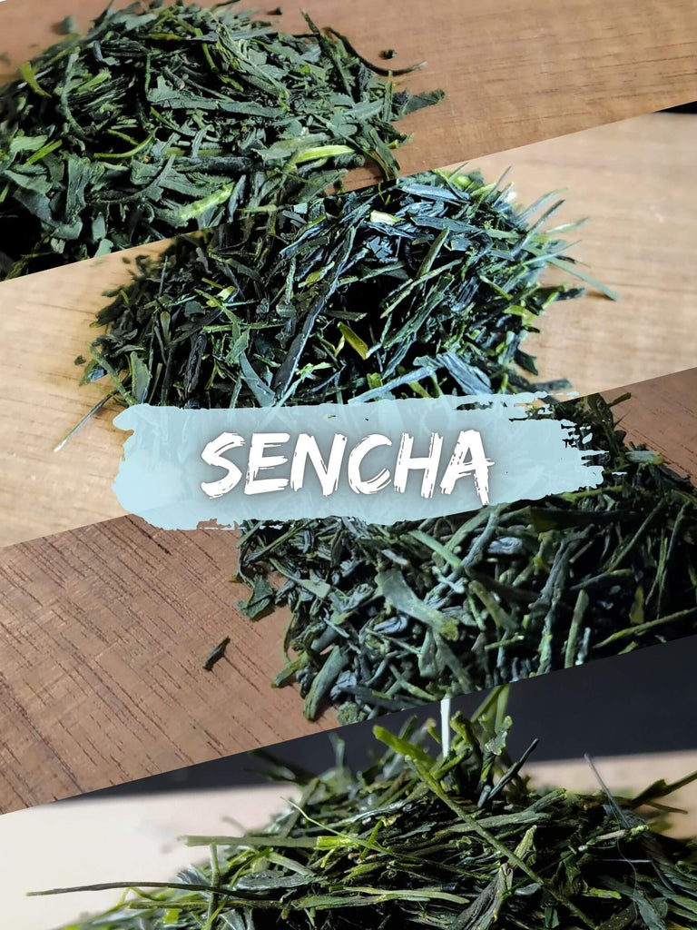 set of 4 sencha green teas