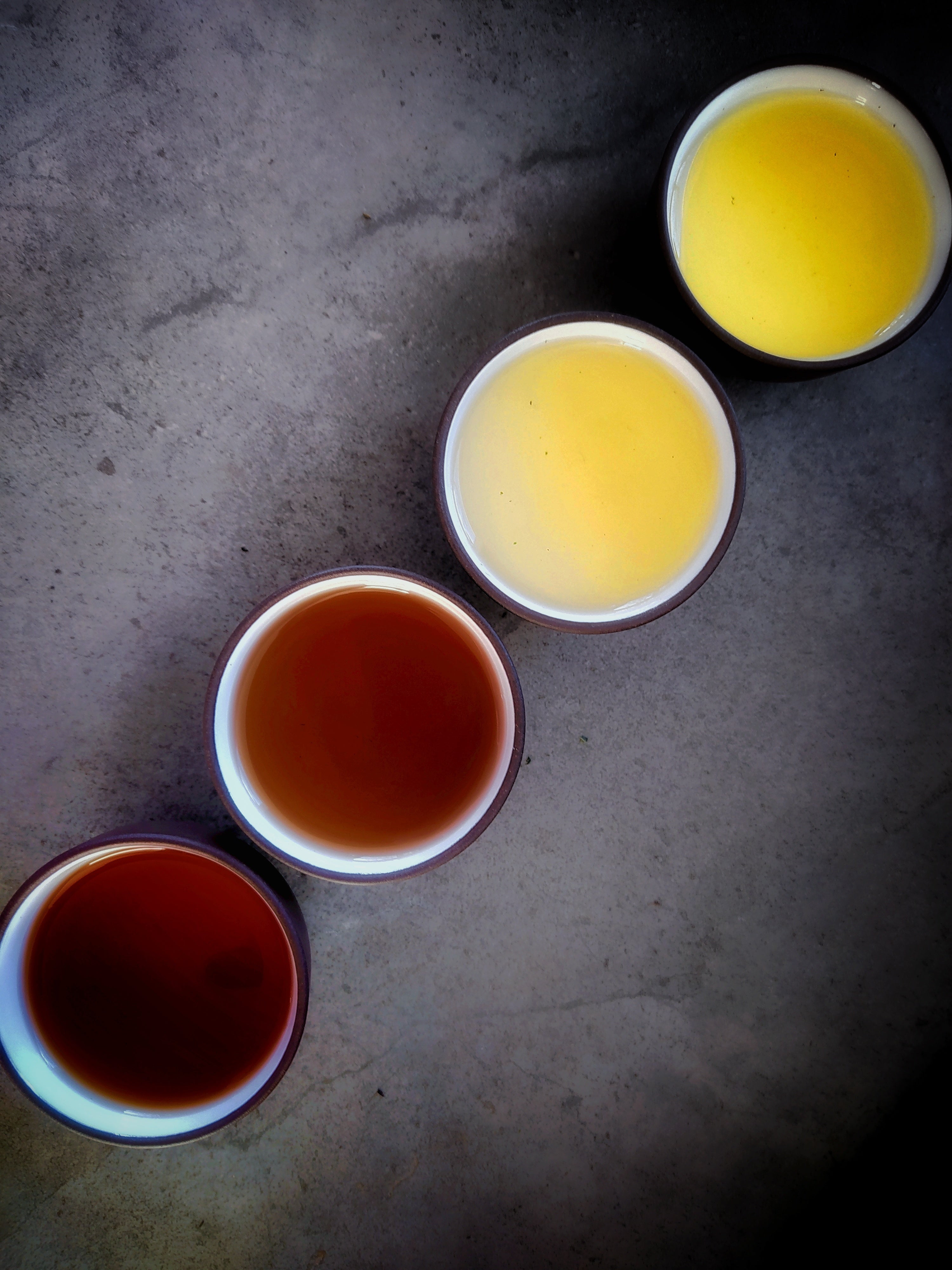 Discover Japanese tea - brew